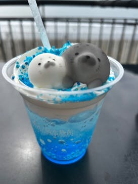 新江ノ島水族館に投稿された画像（2025/9/24）