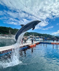 ドルフィンファンタジーに投稿された画像（2025/9/24）