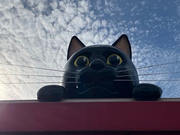 つくばわんわんランドに投稿された画像（2025/9/24）