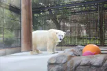 愛媛県立とべ動物園に投稿された画像（2025/9/24）