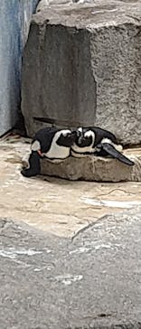 千葉市動物公園に投稿された画像（2025/9/24）