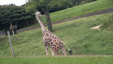 千葉市動物公園に投稿された画像（2025/9/24）