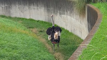 千葉市動物公園に投稿された画像（2025/9/24）
