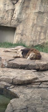 千葉市動物公園に投稿された画像（2025/9/24）