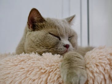 東武動物公園に投稿された画像（2025/9/24）