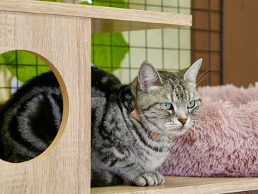 東武動物公園に投稿された画像（2025/9/24）