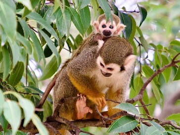 東武動物公園に投稿された画像（2025/9/24）