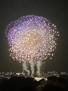 第50回江戸川区花火大会に投稿された画像（2025/9/24）