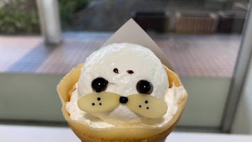 横浜・八景島シーパラダイスに投稿された画像（2025/9/24）