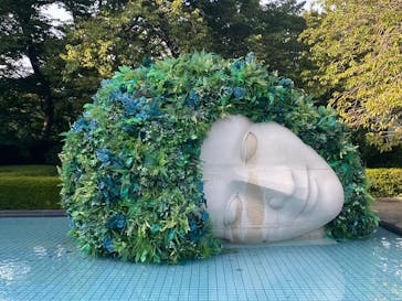 彫刻の森美術館に投稿された画像（2025/9/24）