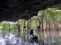 ひかりオーシャンズに投稿された画像（2025/9/25）