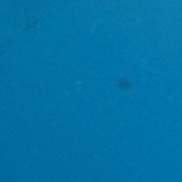 武藤潜水に投稿された画像（2025/9/25）