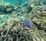 石垣島 ADVENTURE PiPi（イシガキジマアドベンチャーピピ）に投稿された画像（2025/9/25）