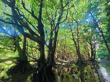 石垣島 ADVENTURE PiPi（イシガキジマアドベンチャーピピ）に投稿された画像（2025/9/25）