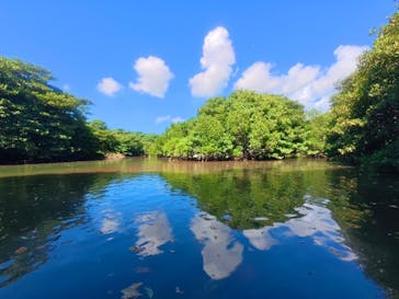 石垣島 ADVENTURE PiPi（イシガキジマアドベンチャーピピ）に投稿された画像（2025/9/25）