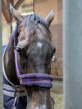 ノーザンホースパークに投稿された画像（2025/9/25）