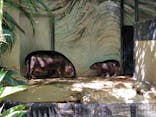 恩賜上野動物園に投稿された画像（2025/9/25）