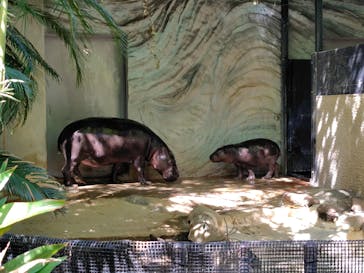 恩賜上野動物園に投稿された画像（2025/9/25）