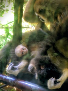 恩賜上野動物園に投稿された画像（2025/9/25）