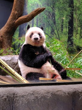 恩賜上野動物園に投稿された画像（2025/9/25）