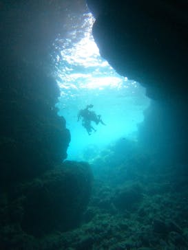 武藤潜水に投稿された画像（2025/9/25）