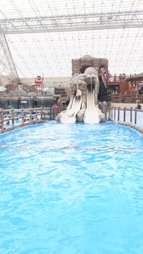 東京サマーランドに投稿された画像（2025/9/25）