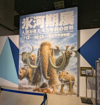 特別展「氷河期展 〜人類が見た4万年前の世界〜」（国立科学博物館）に投稿された画像（2025/9/25）