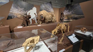 特別展「氷河期展 〜人類が見た4万年前の世界〜」（国立科学博物館）に投稿された画像（2025/9/25）