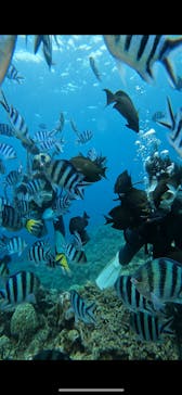 武藤潜水に投稿された画像（2025/9/25）