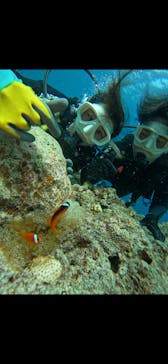 武藤潜水に投稿された画像（2025/9/25）