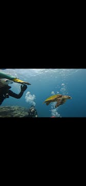 武藤潜水に投稿された画像（2025/9/25）