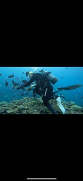 武藤潜水に投稿された画像（2025/9/25）