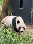 恩賜上野動物園に投稿された画像（2025/9/25）