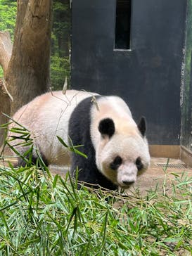 恩賜上野動物園に投稿された画像（2025/9/25）