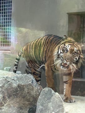 名古屋市東山動植物園に投稿された画像（2025/9/25）