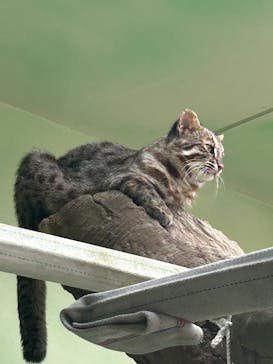 名古屋市東山動植物園に投稿された画像（2025/9/25）