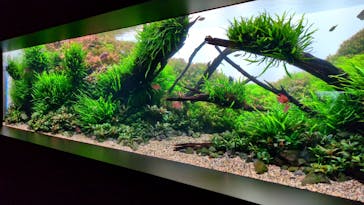 AOAO SAPPOROに投稿された画像（2025/9/25）