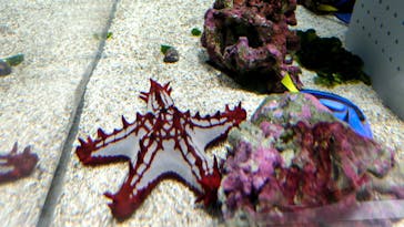 AOAO SAPPOROに投稿された画像（2025/9/25）