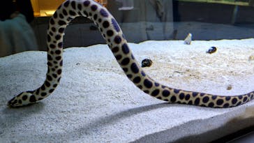 AOAO SAPPOROに投稿された画像（2025/9/25）