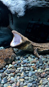 AOAO SAPPOROに投稿された画像（2025/9/25）