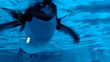 AOAO SAPPOROに投稿された画像（2025/9/25）