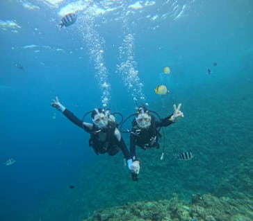 青の洞窟専門店　沖縄ダイビングショップ和に投稿された画像（2025/9/25）