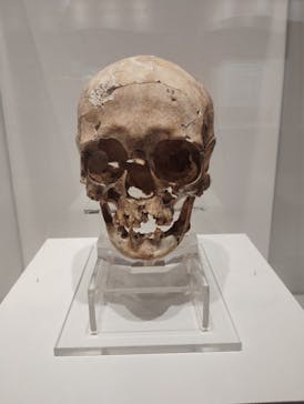 特別展「古代ＤＮＡ－日本人のきた道－」に投稿された画像（2025/9/25）