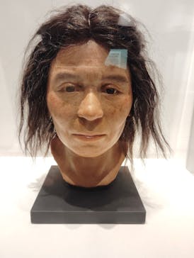 特別展「古代ＤＮＡ－日本人のきた道－」に投稿された画像（2025/9/25）