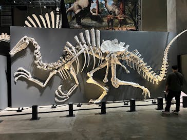 福井県立恐竜博物館に投稿された画像（2025/9/25）