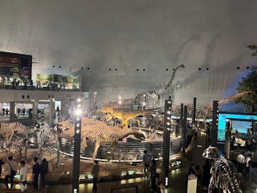 福井県立恐竜博物館に投稿された画像（2025/9/25）