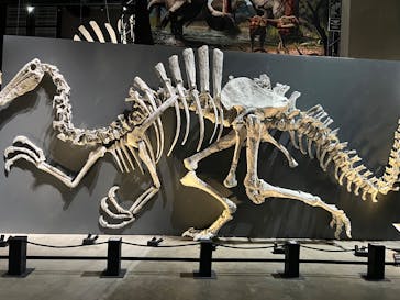 福井県立恐竜博物館に投稿された画像（2025/9/25）