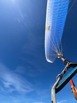 スカイエンジェルに投稿された画像（2025/9/25）