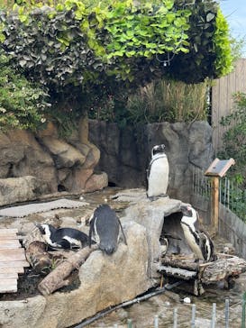 サンシャイン水族館に投稿された画像（2025/9/25）
