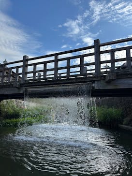 小江戸さわら 舟めぐりに投稿された画像（2025/9/25）